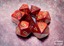 Polyhedral 7-Dice Set CHX27414 - Scarab Scarlet/Gold